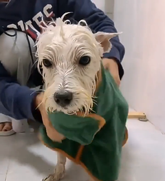 HYNQORA Fast-Drying Dog Bathrobe Towel